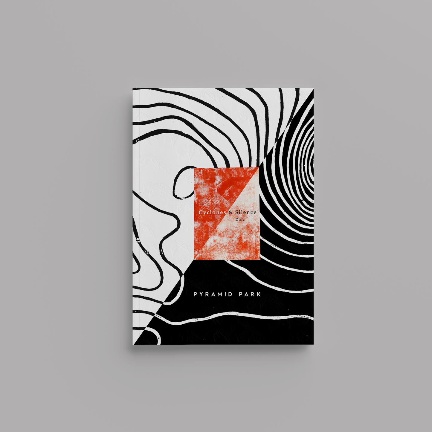 Cyclones & Silence Zine & Digital Album Bundle